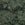 Olive Green 2042